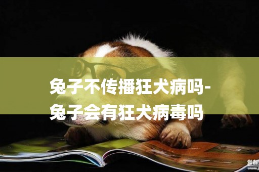兔子不傳播狂犬病嗎-
兔子會有狂犬病毒嗎