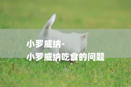 小羅威納-
小羅威納吃食的問題
