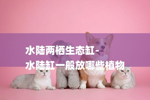 水陸兩棲生態缸-
水陸缸一般放哪些植物