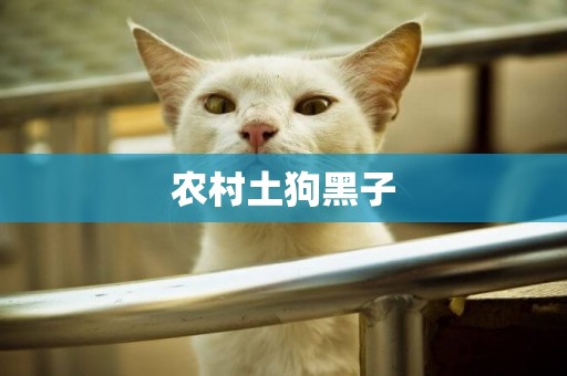 農村土狗黑子