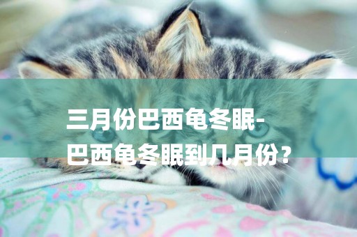 三月份巴西龜冬眠-
巴西龜冬眠到幾月份？
