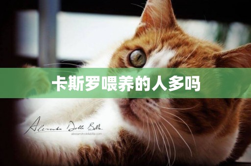 卡斯羅喂養的人多嗎