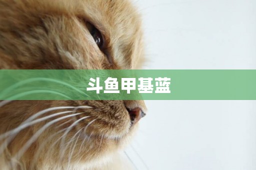 斗魚甲基藍