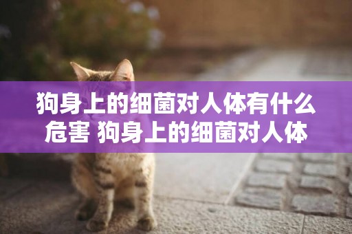 狗身上的細菌對人體有什么危害 狗身上的細菌對人體有害嗎