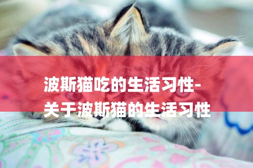 波斯貓吃的生活習性-
關于波斯貓的生活習性