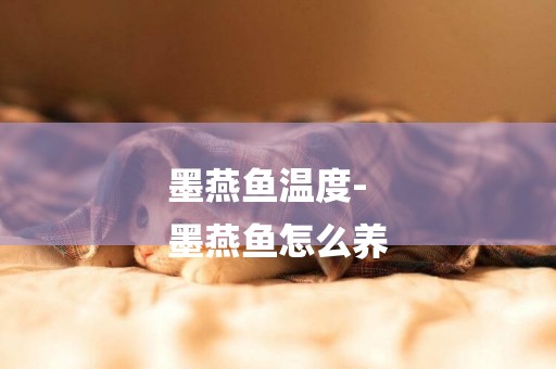 墨燕魚溫度-
墨燕魚怎么養