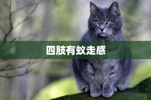 四肢有蟻走感