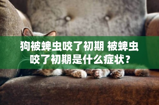 狗被蜱蟲咬了初期 被蜱蟲咬了初期是什么癥狀？