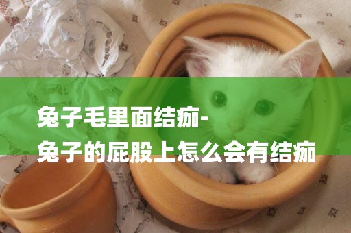兔子毛里面結痂-
兔子的屁股上怎么會有結痂