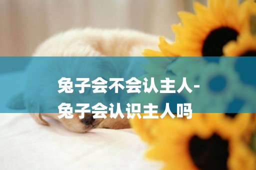 兔子會不會認主人-
兔子會認識主人嗎