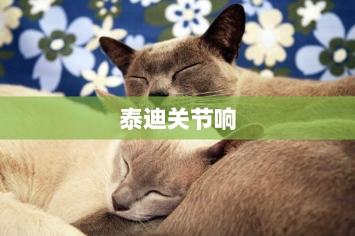 泰迪關節響