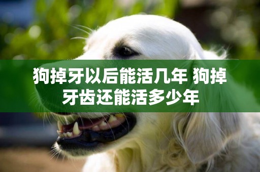 狗掉牙以后能活幾年 狗掉牙齒還能活多少年