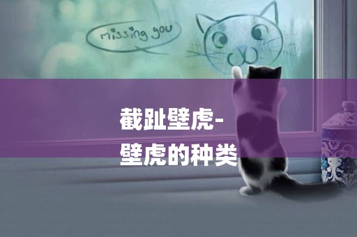截趾壁虎-
壁虎的種類
