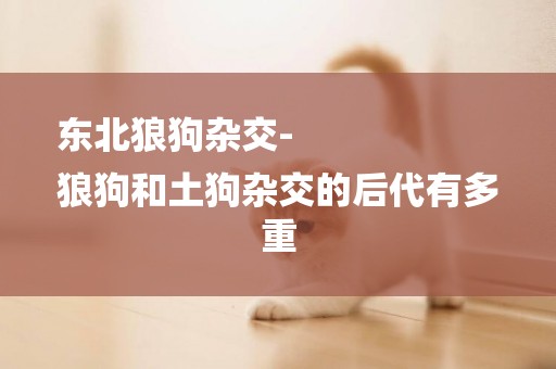東北狼狗雜交-
狼狗和土狗雜交的后代有多重