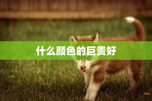 什么顏色的巨貴好