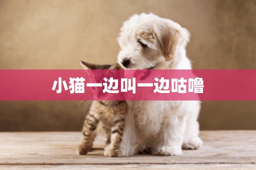 小貓一邊叫一邊咕嚕