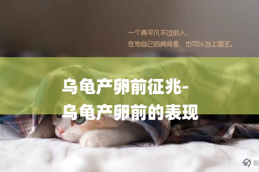 烏龜產卵前征兆-
烏龜產卵前的表現