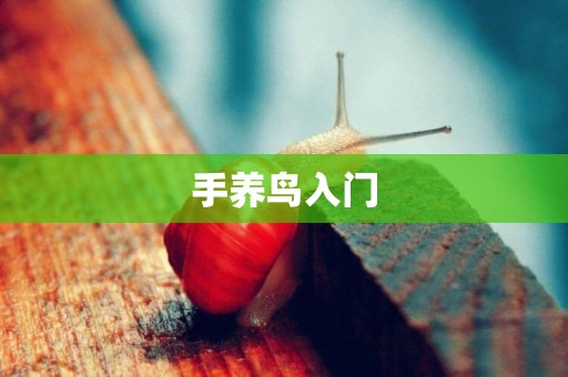 手養鳥入門
