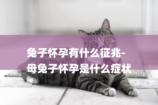 兔子懷孕有什么征兆-
母兔子懷孕是什么癥狀