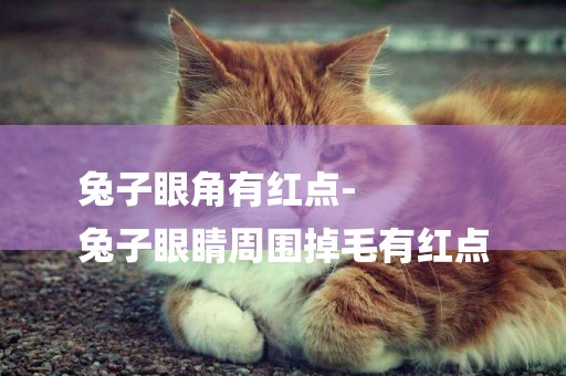 兔子眼角有紅點-
兔子眼睛周圍掉毛有紅點
