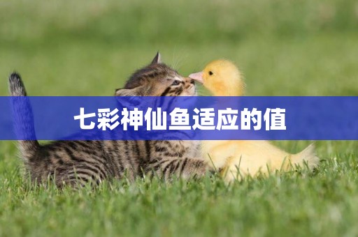 七彩神仙魚適應的值