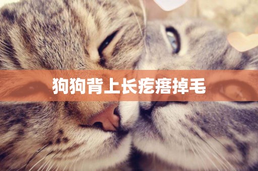 狗狗背上長疙瘩掉毛