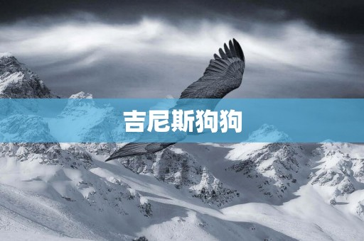 吉尼斯狗狗