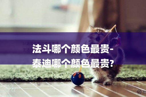法斗哪個顏色最貴-
泰迪哪個顏色最貴?
