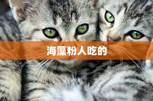 海藻粉人吃的