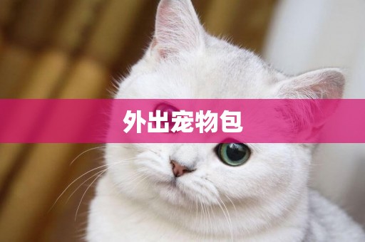 外出寵物包