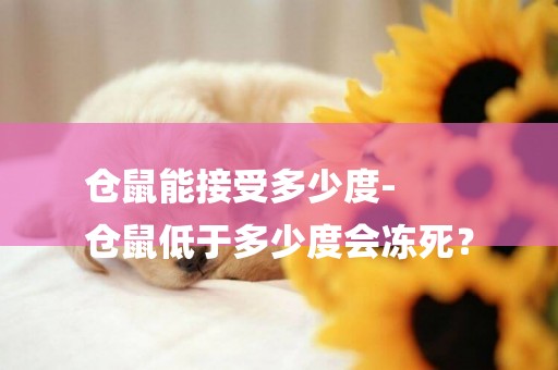 倉鼠能接受多少度-
倉鼠低于多少度會凍死？