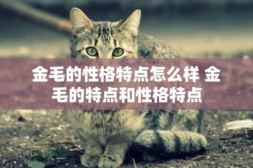 金毛的性格特點怎么樣 金毛的特點和性格特點