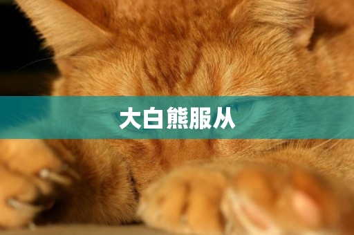 大白熊服從