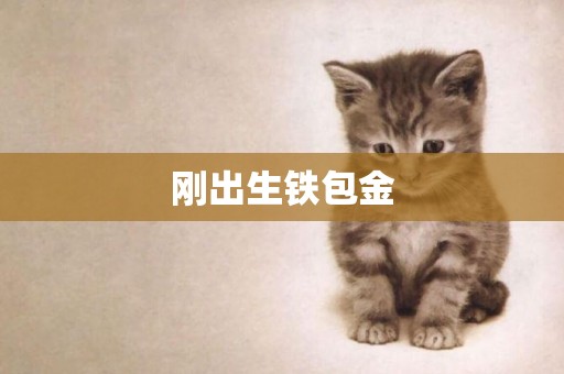 剛出生鐵包金