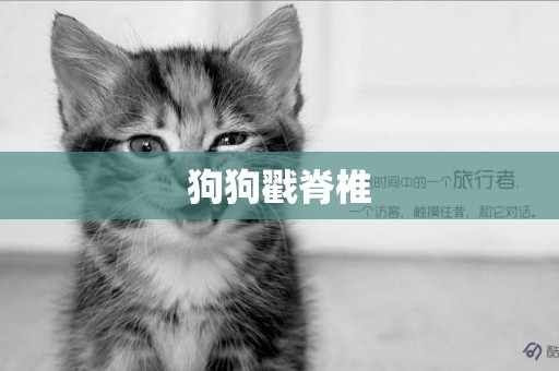 狗狗戳脊椎