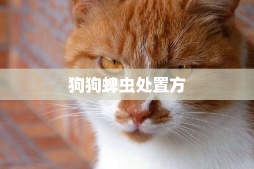 狗狗蜱蟲處置方