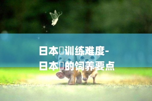 日本狆訓練難度-
日本狆的飼養要點