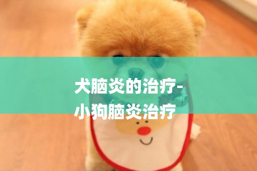 犬腦炎的治療-
小狗腦炎治療