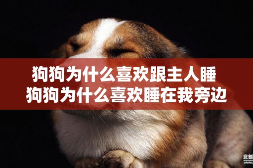 狗狗為什么喜歡跟主人睡 狗狗為什么喜歡睡在我旁邊