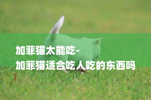 加菲貓太能吃-
加菲貓適合吃人吃的東西嗎
