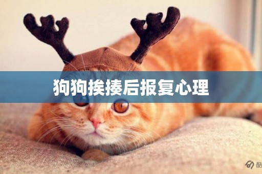 狗狗挨揍后報復心理