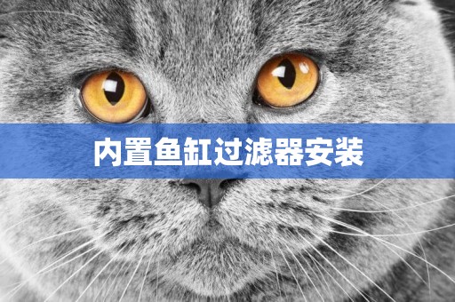 內置魚缸過濾器安裝
