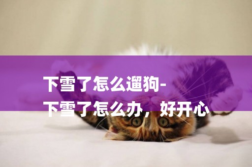 下雪了怎么遛狗-
下雪了怎么辦，好開心