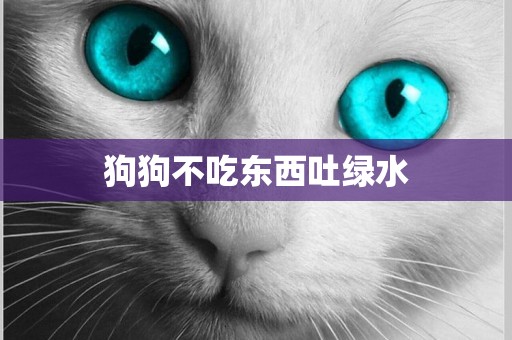 狗狗不吃東西吐綠水