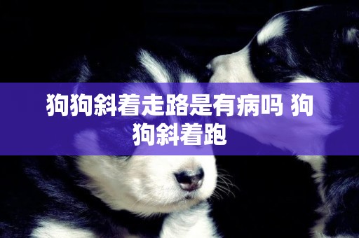 狗狗斜著走路是有病嗎 狗狗斜著跑