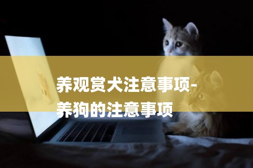 養觀賞犬注意事項-
養狗的注意事項