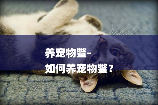 養寵物鱉-
如何養寵物鱉？