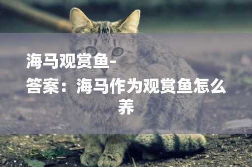 海馬觀賞魚-
答案：海馬作為觀賞魚怎么養