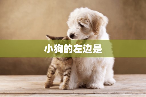 小狗的左邊是