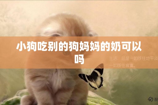 小狗吃別的狗媽媽的奶可以嗎